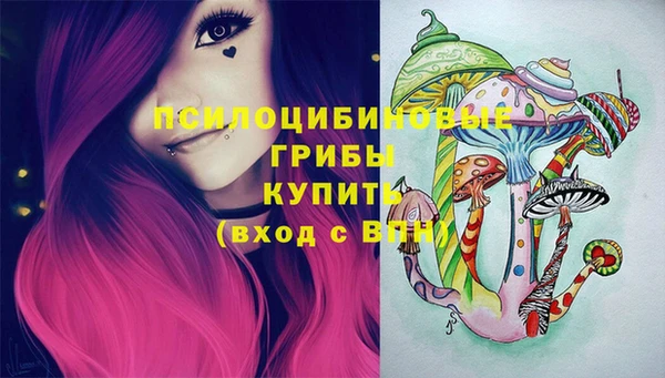 гидра Белоозёрский